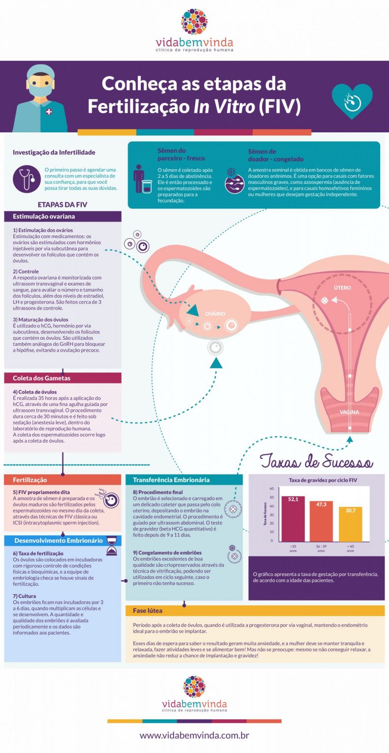 Infográfico Entenda A Fiv Fertilização In Vitro Vida Bem Vinda 