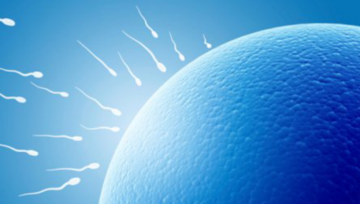 Infertilidade masculina: 10 maneiras de melhorar a qualidade dos espermatozoides