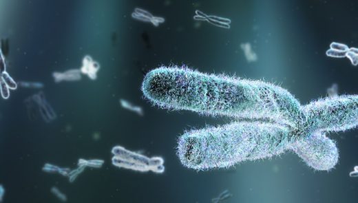 Moderno exame da investigação da infertilidade masculina: Teste de aneuploidias espermáticas nos cromossomos: 13, 18, 21, X e Y