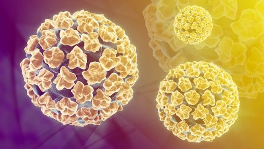 A presença do vírus do HPV no sêmen: desafios e a busca por  uma solução