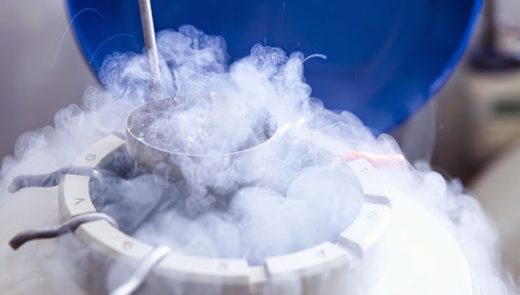Quais São As Taxas De Sucesso Da Transferência De Embriões Congelados?