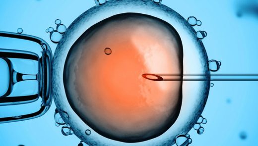 FIV: como a fertilização in vitro pode me ajudar a engravidar?