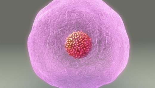 Preservação da fertilidade em pacientes com câncer: saiba quais são os fatores determinantes!