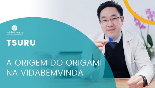 TSURU: A origem do origami na VidaBemVinda