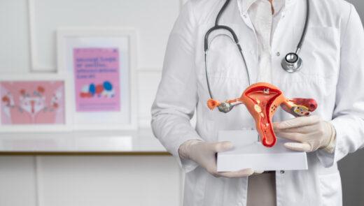 O Que É Útero Retrovertido E Quais As Consequências
